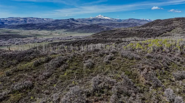 a view of a backyard with large trees