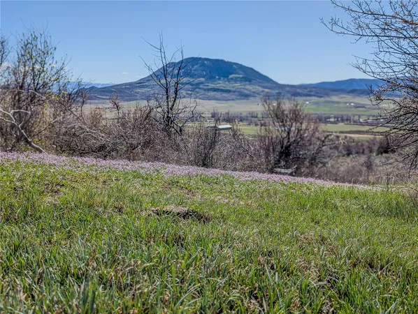 a view of a dry field with mountains in the background