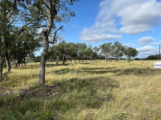 a view of a garden with trees
