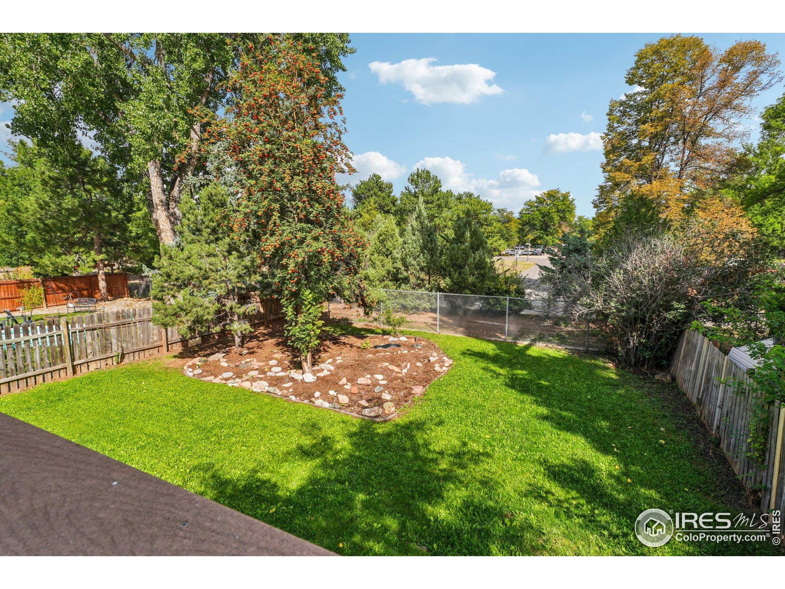 2442 Amherst Street Fort Collins, CO 80525 - Photo 41 of 49 a view of a backyard