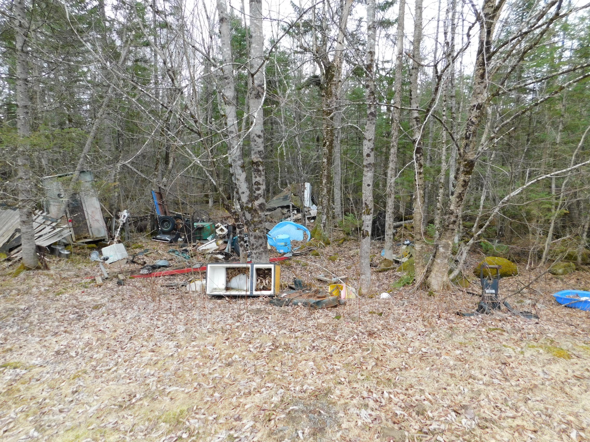 209 Middle Road Oakland, ME 04963 - Photo 7 of 15 DSCN2399