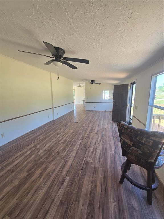 2525 Rock Pillar Road Carnesville, GA 30521 - Photo 5 of 20 Gallery Image 5