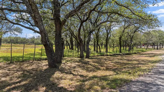 a view of a yard with trees