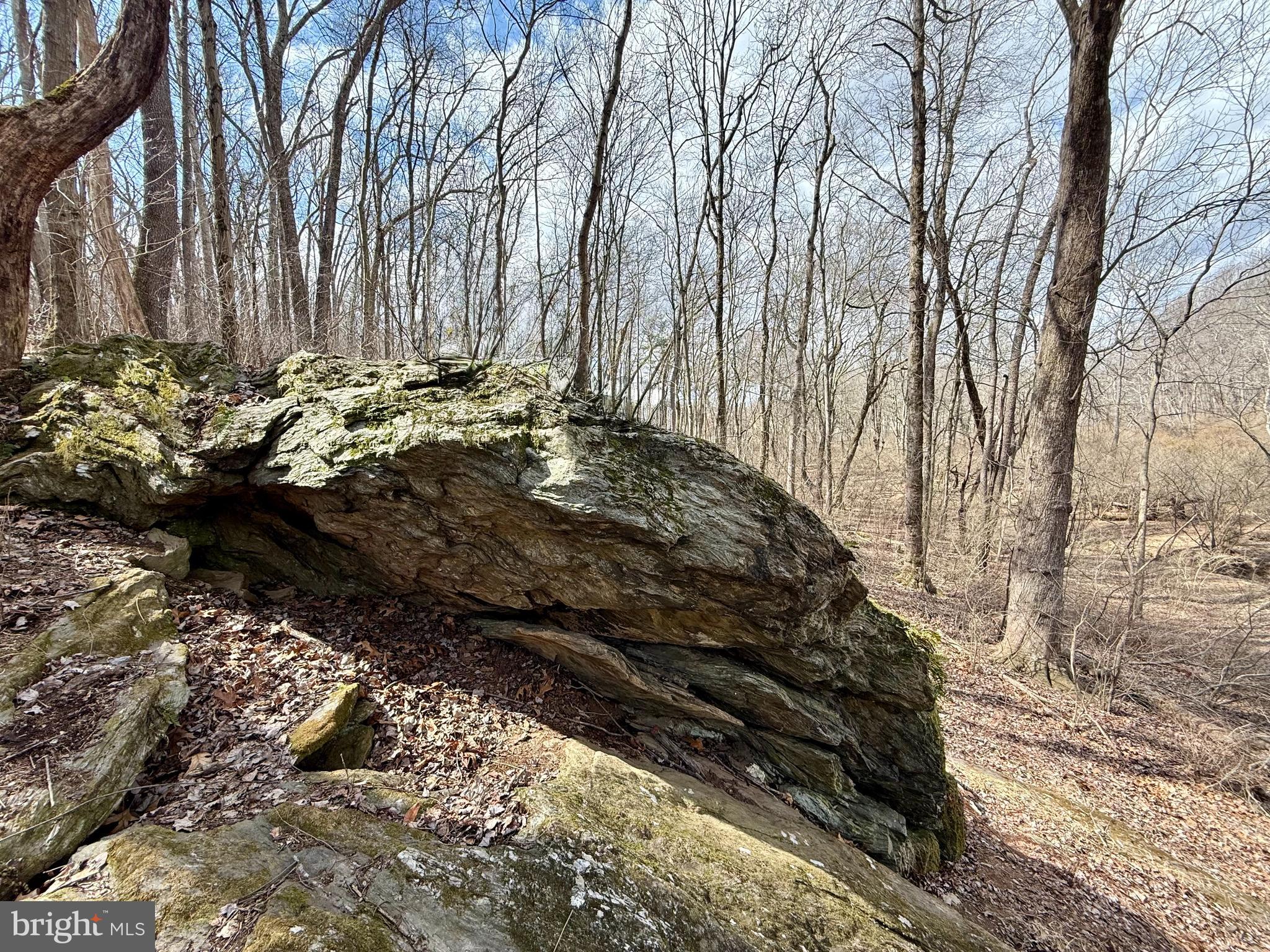 1503 Dulany Road Finksburg, MD 21048 - Photo 74 of 75 Rock Overlook