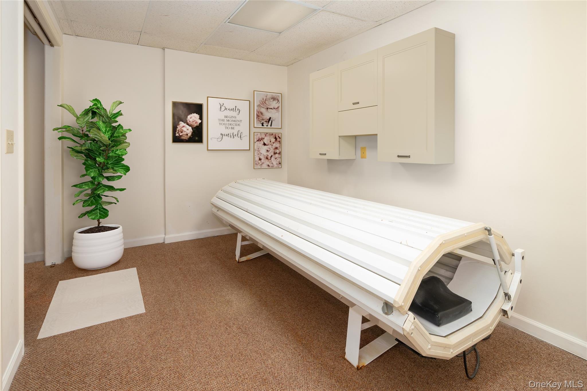 219 Maple Avenue Monroe, NY 10950 - Photo 28 of 40 a spacious bedroom with a bed and a potted plant