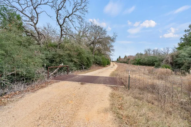 a view of a dry yard with trees
