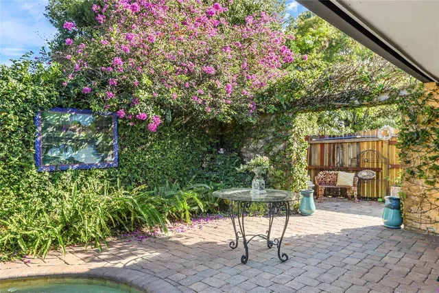 a view of a pathway with plants and large trees