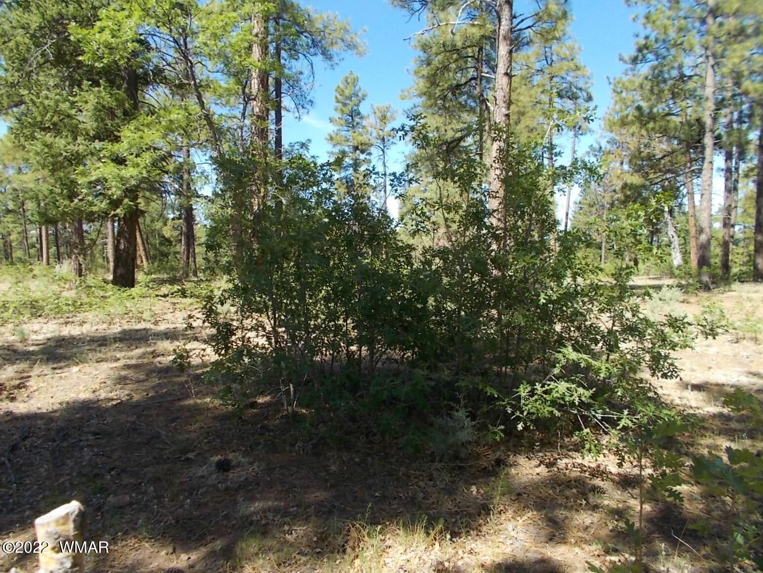 2424 Rim Road Lakeside, AZ 85929 - Photo 30 of 34