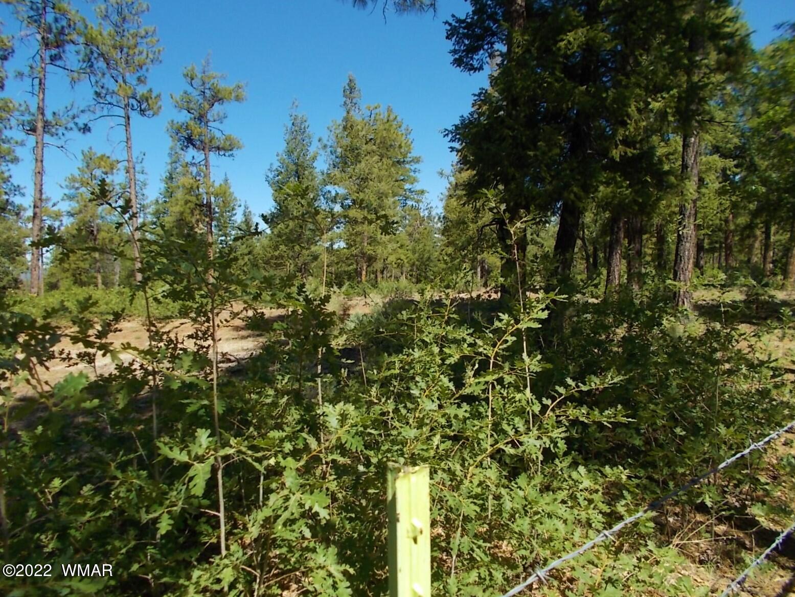 2424 Rim Road Lakeside, AZ 85929 - Photo 31 of 34