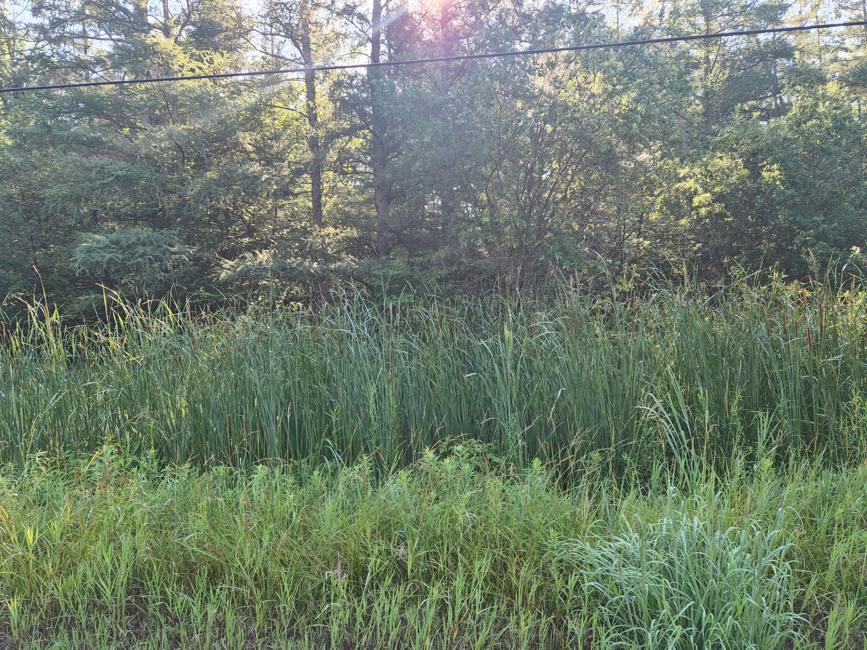 V/l Eagle Point Road Grayling, MI 49738 - Photo 6 of 11 Gallery Image 6