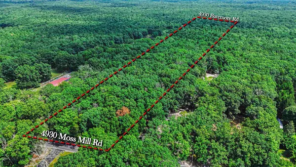a green field with lots of palm trees