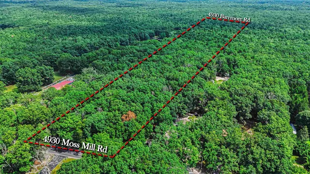 a green field with lots of palm trees