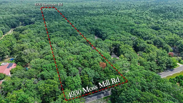 a view of a park with plants and large trees