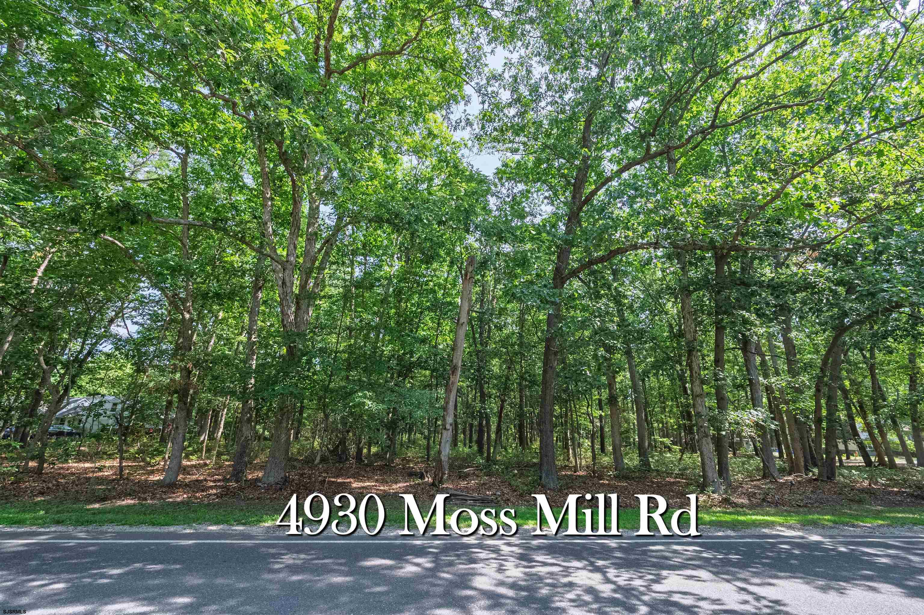 4930 Moss Mill Road Egg Harbor City, NJ 08215 - Photo 7 of 9