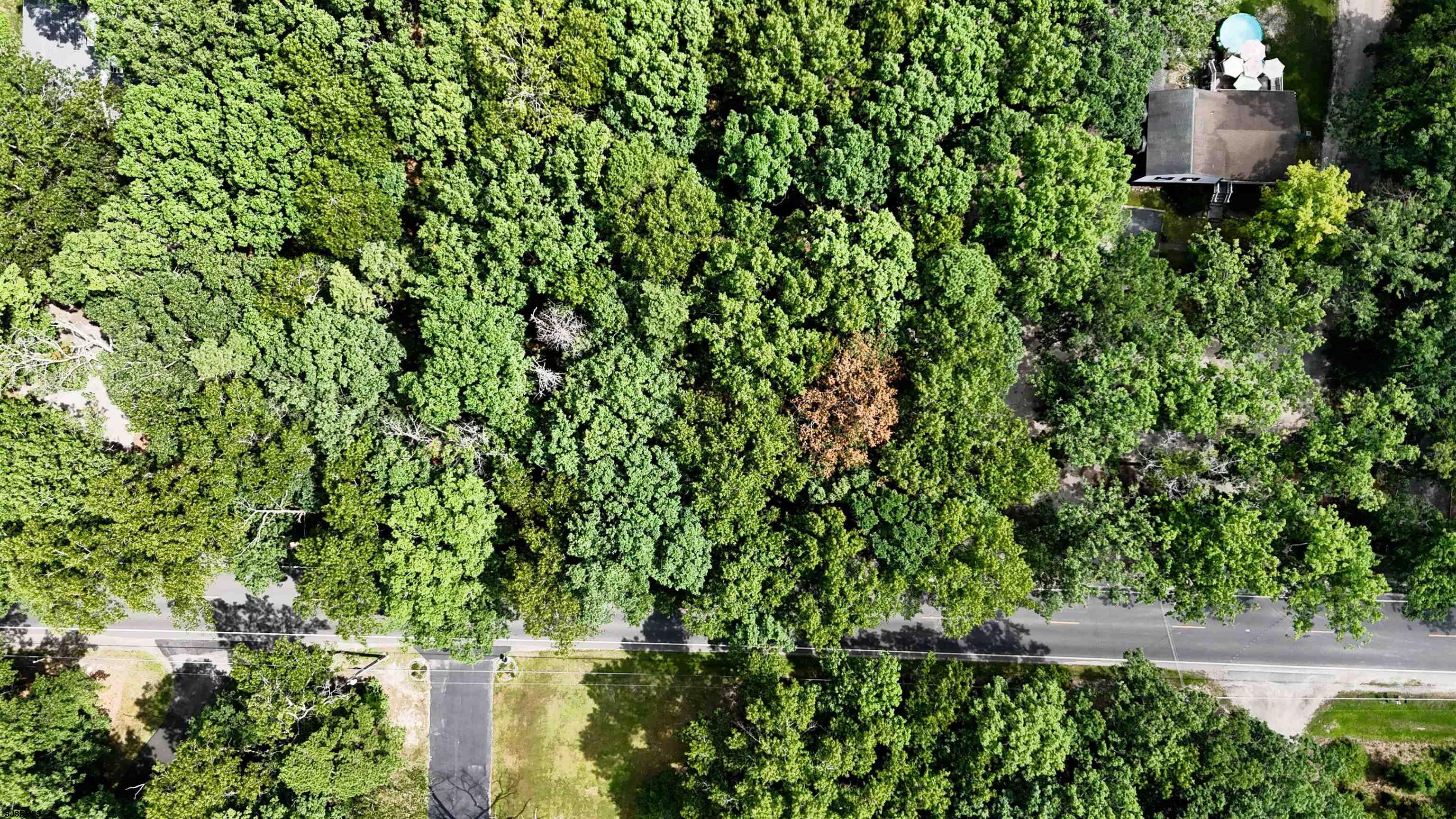 4930 Moss Mill Road Egg Harbor City, NJ 08215 - Photo 9 of 9