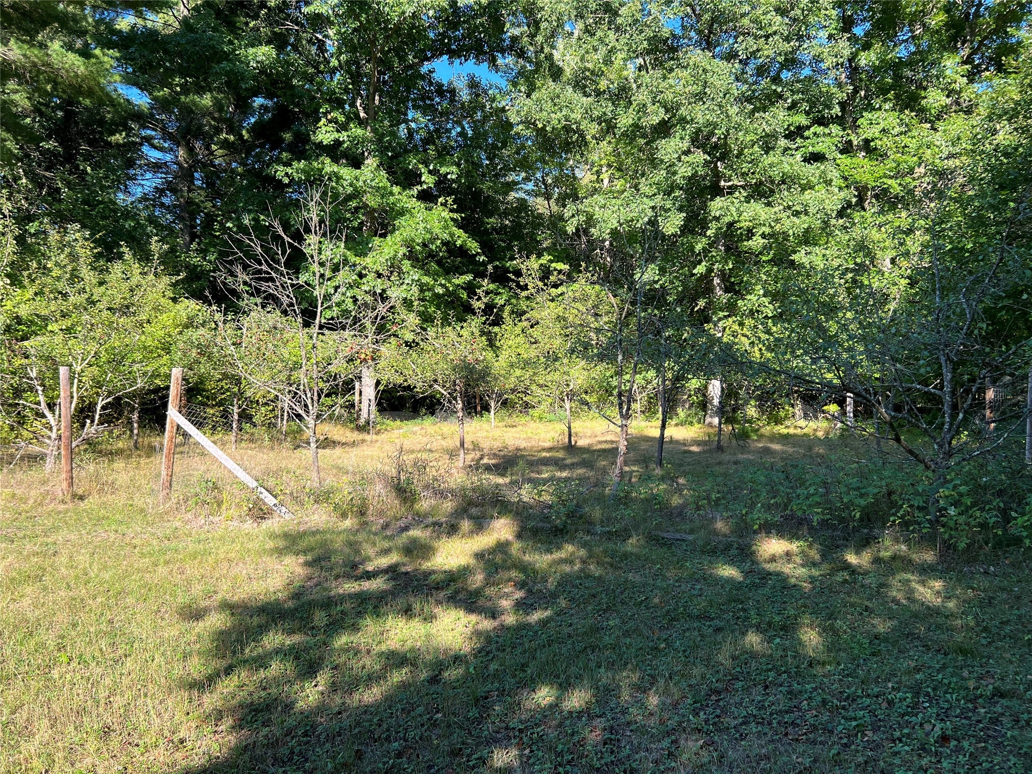 W10712 Popple River Road Stanley, WI 54768 - Photo 4 of 29 Gallery Image 4