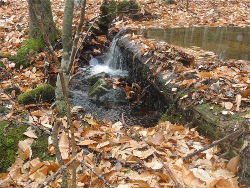 0 Old Deer Hill Road Stow, ME 04037 - Photo 1 of 12 Land. This falling brook is on the...
