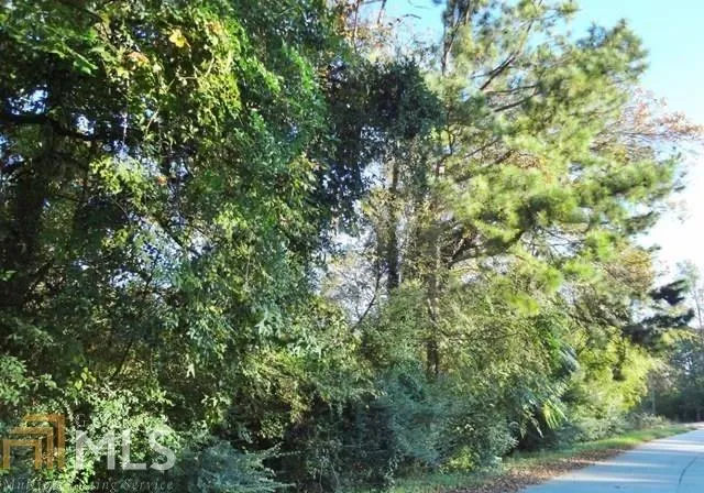 a view of a yard with plants and tree