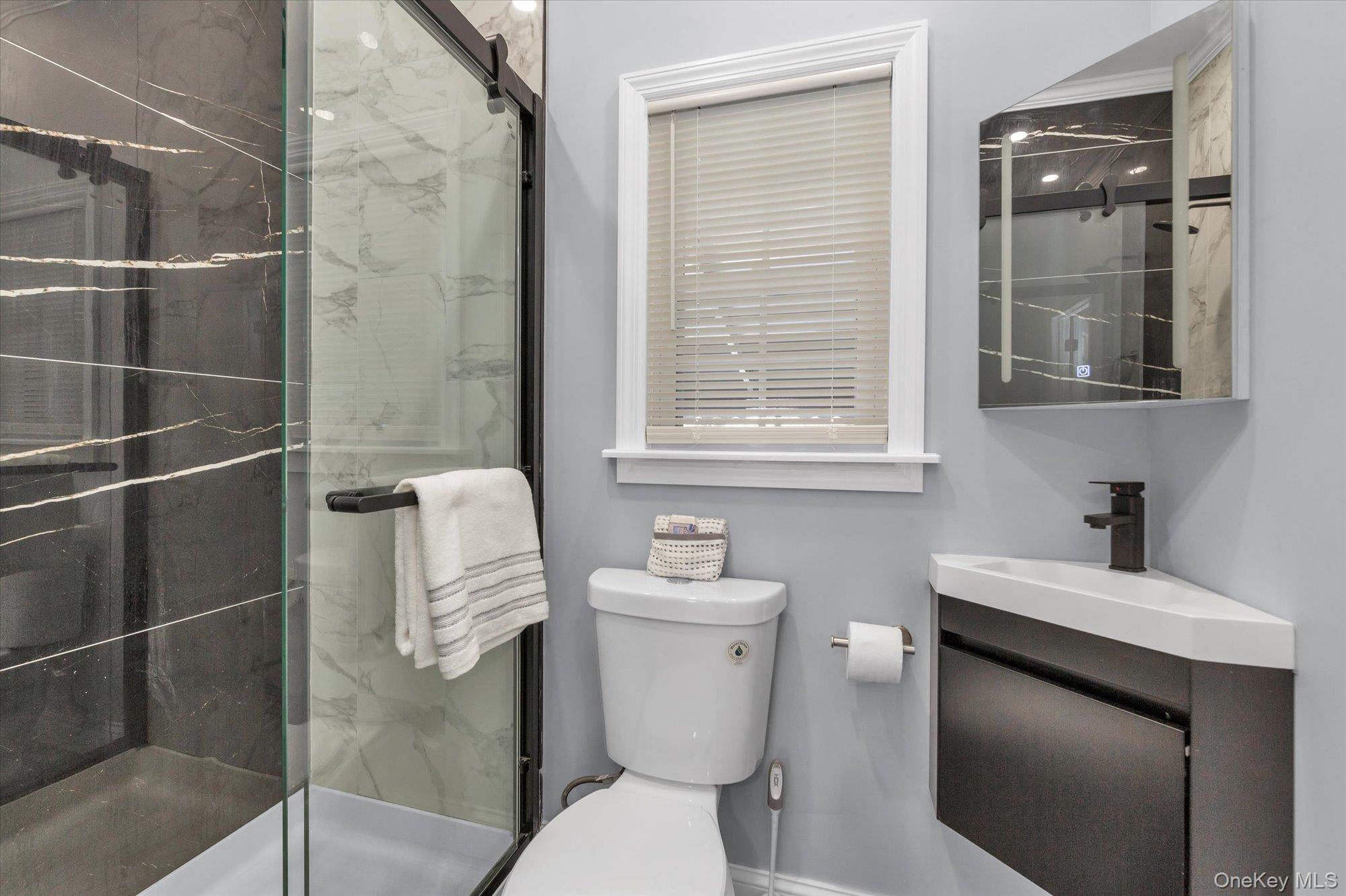 246 Wellington Road Mineola, NY 11501 - Photo 15 of 24