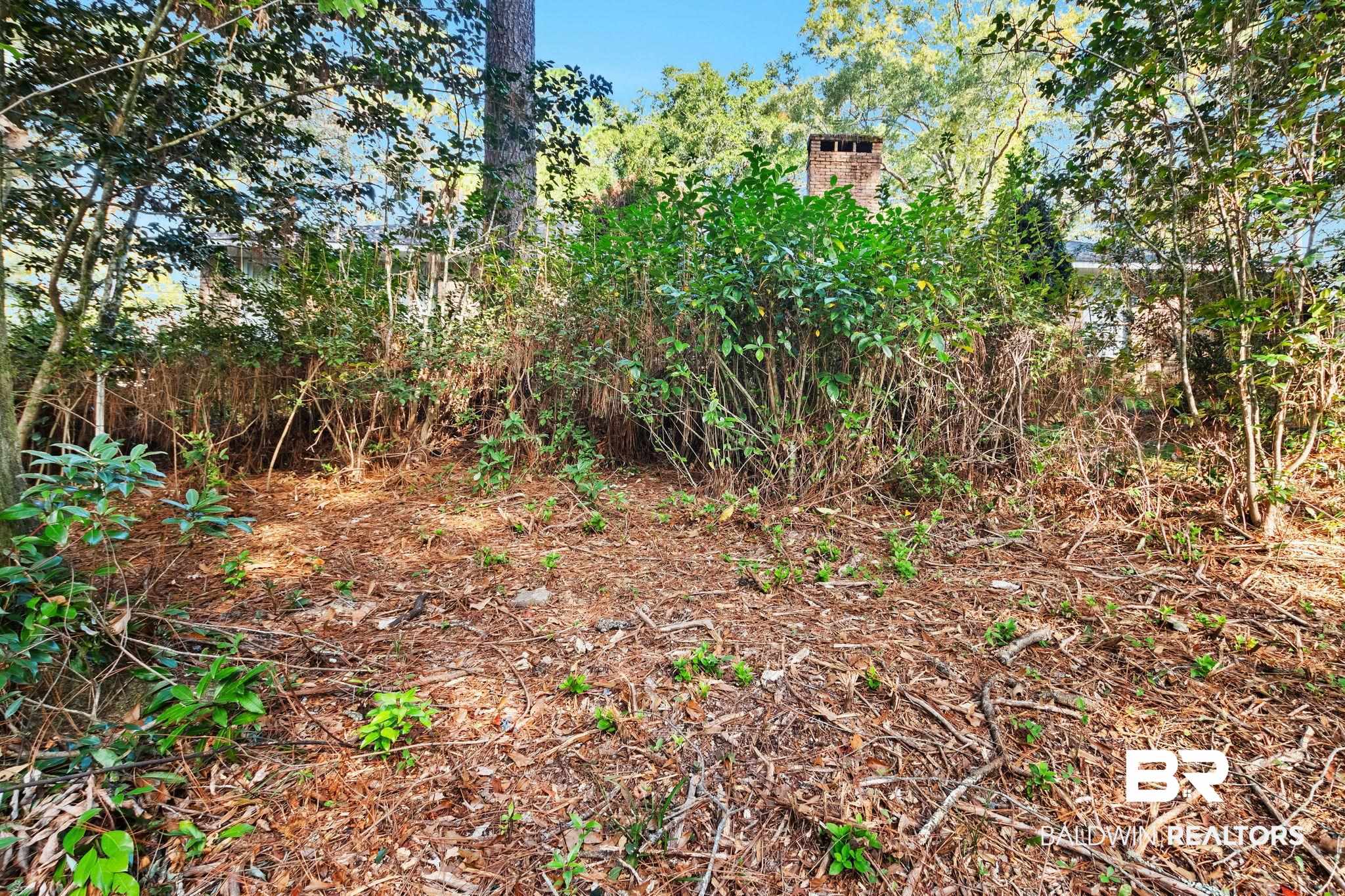 752 Evergreen Street Fairhope, AL 36532 - Photo 73 of 100 View of nature