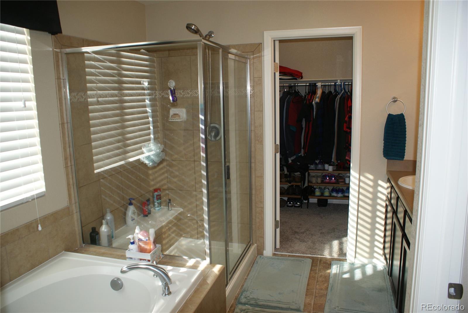 8675 Raspberry Drive Frederick, CO 80504 - Photo 8 of 15
