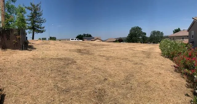 a view of a yard with a tree