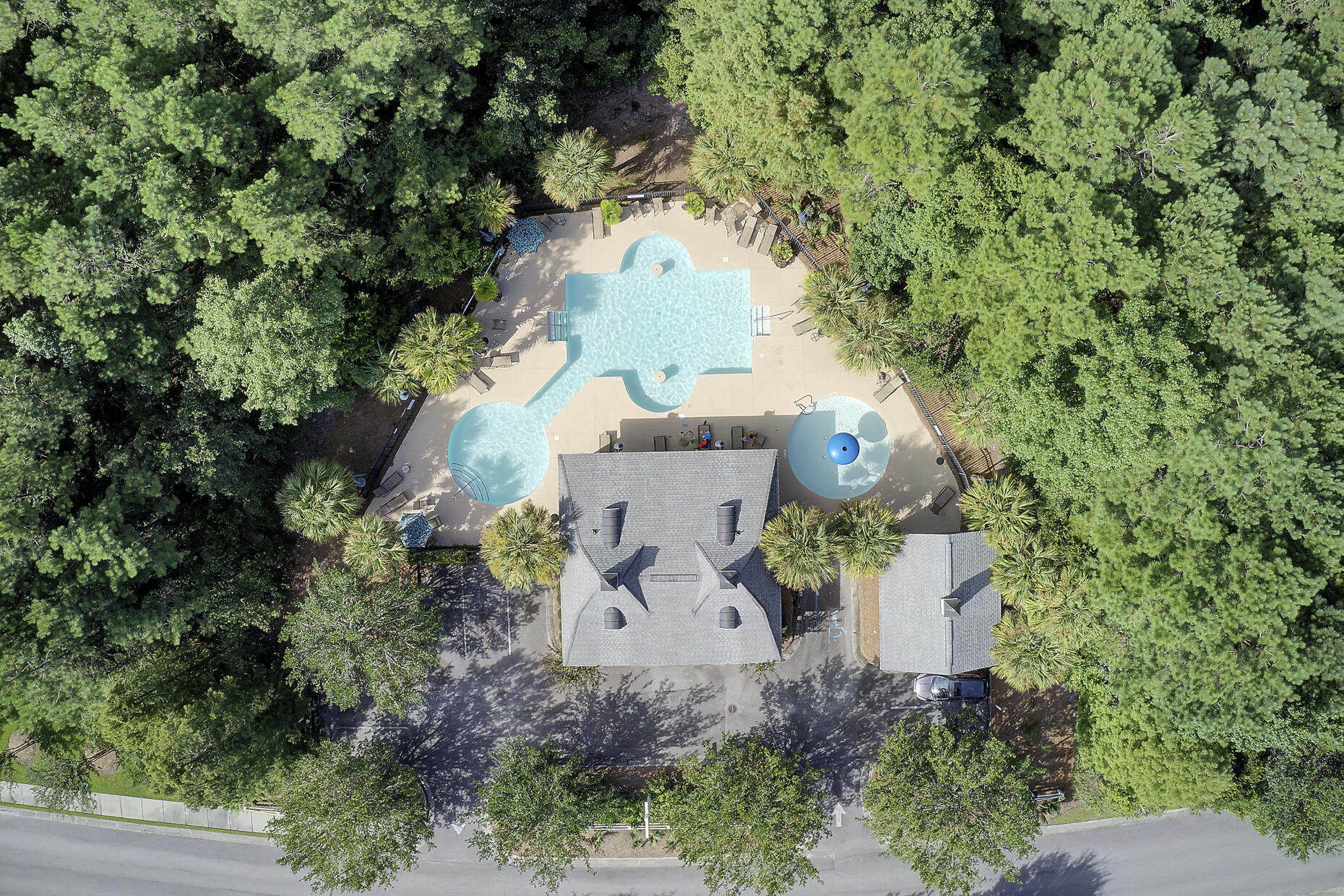 204 Rice Mill Place Wando, SC 29492 - Photo 31 of 41 Nelliefield pool - aerial view