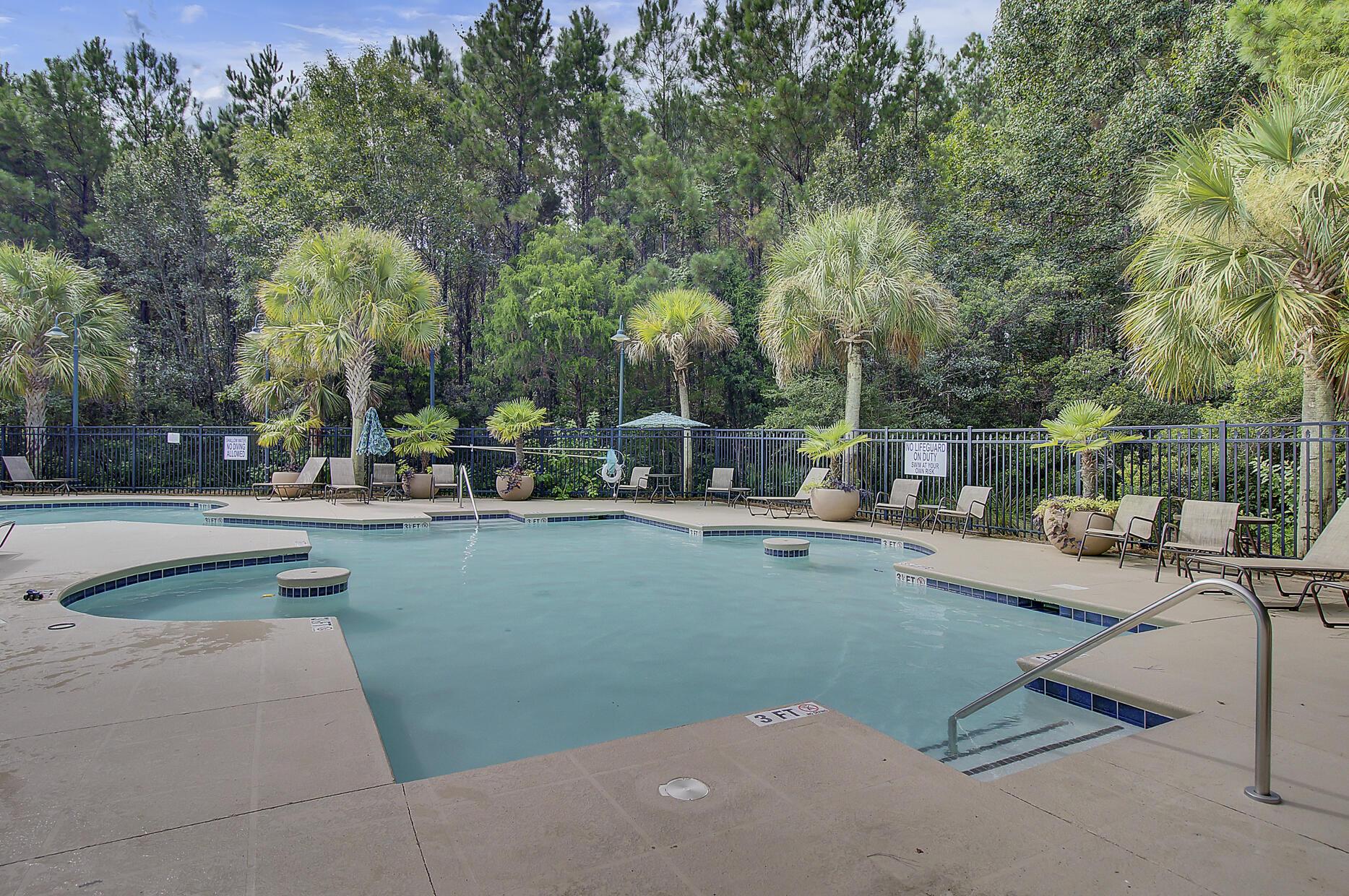 204 Rice Mill Place Wando, SC 29492 - Photo 33 of 41 Nelliefield pool