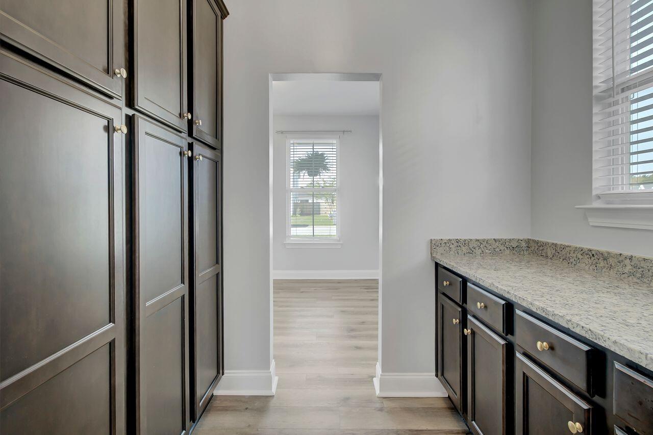 204 Rice Mill Place Wando, SC 29492 - Photo 5 of 41 Butler's pantry