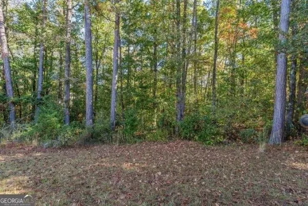 a view of a forest with trees in the background