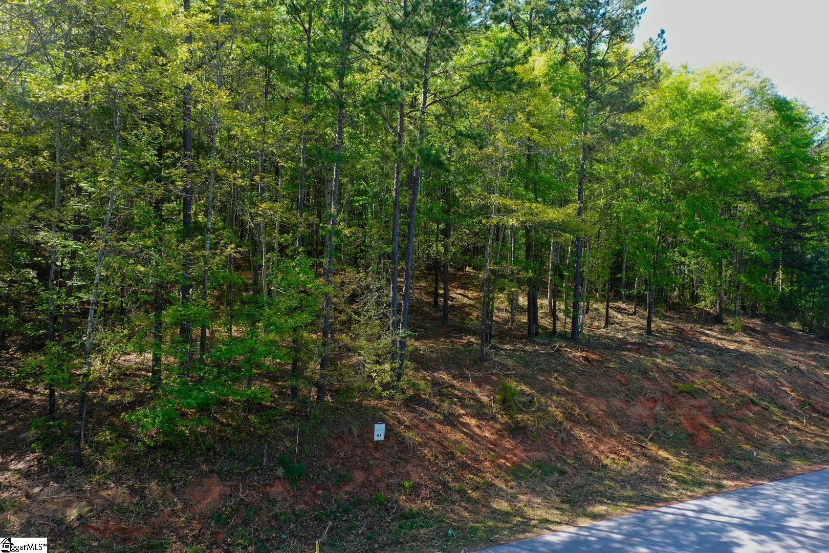 91 Harbor Point Seneca, SC 29672 - Photo 4 of 24 Gallery Image 4