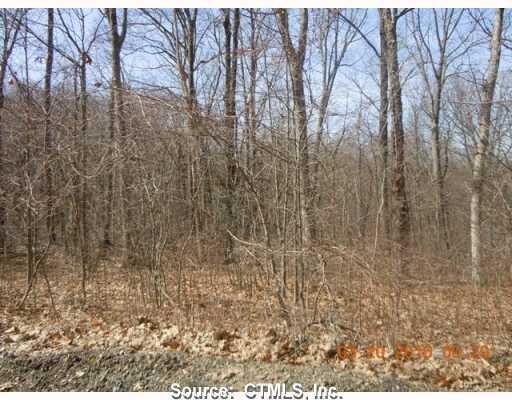 100 Nettleton Hollow Road Bethlehem, CT 06751 - Photo 1 of 1