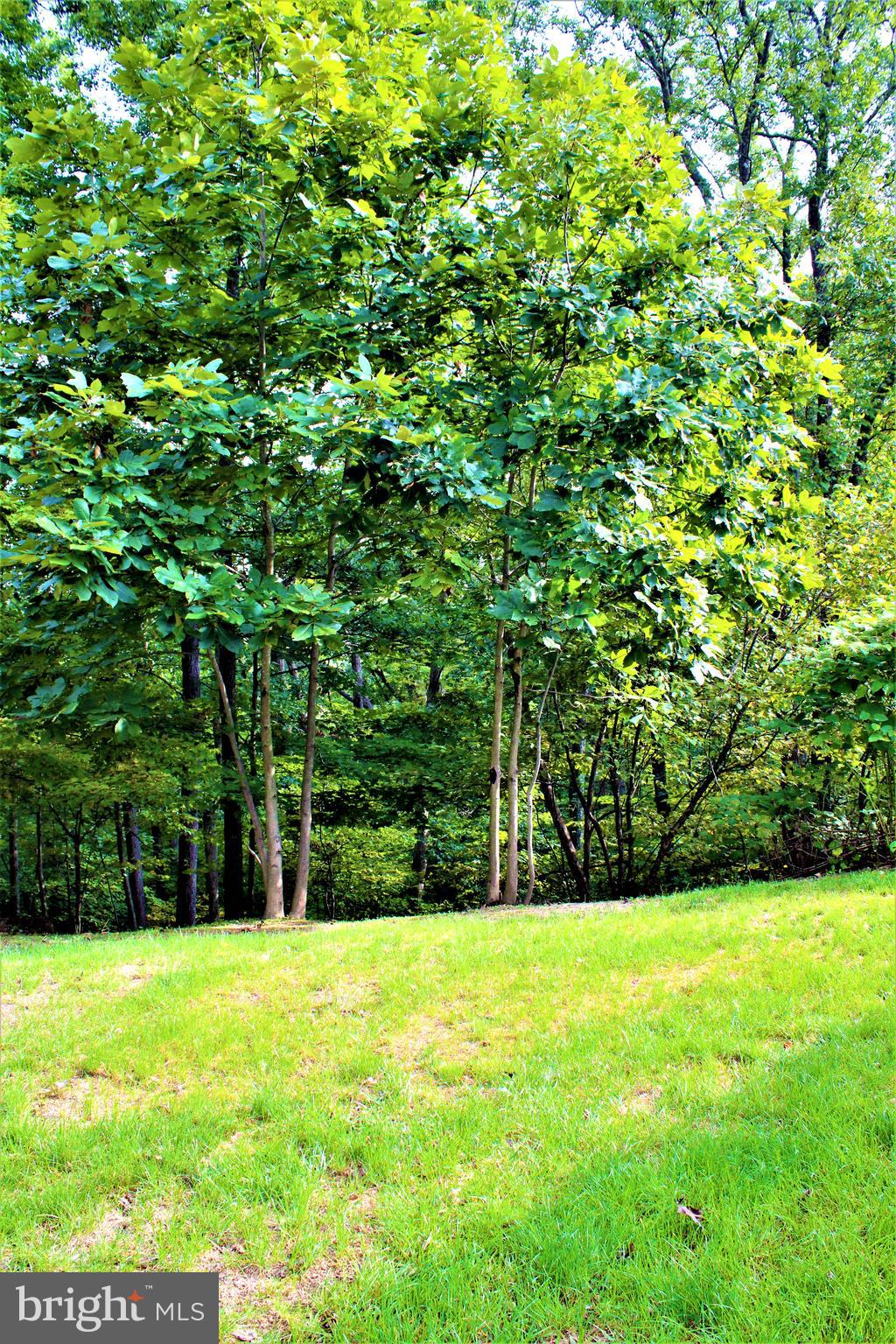 14603 Viewcrest Road Southwest Cumberland, MD 21502 - Photo 12 of 79 Rear Yard View 2