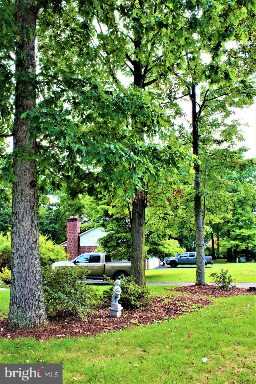 14603 Viewcrest Road Southwest Cumberland, MD 21502 - Photo 19 of 79 Front Landscaping view