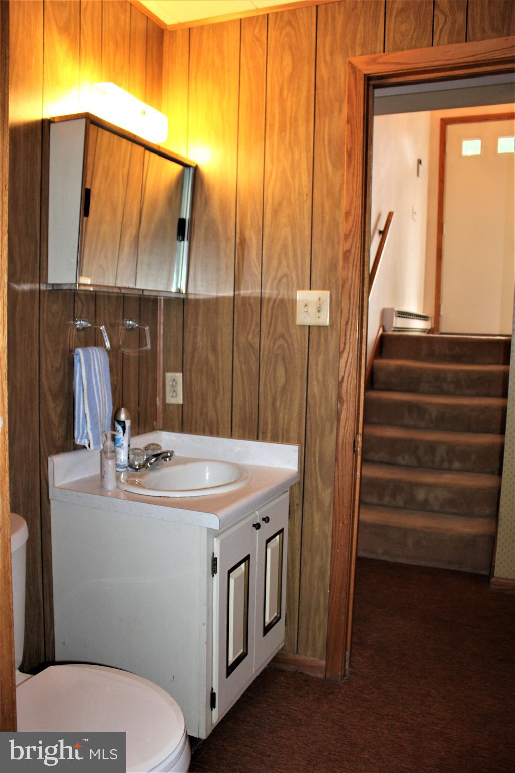 14603 Viewcrest Road Southwest Cumberland, MD 21502 - Photo 71 of 79 Lower Level 1/2 Bath View 2