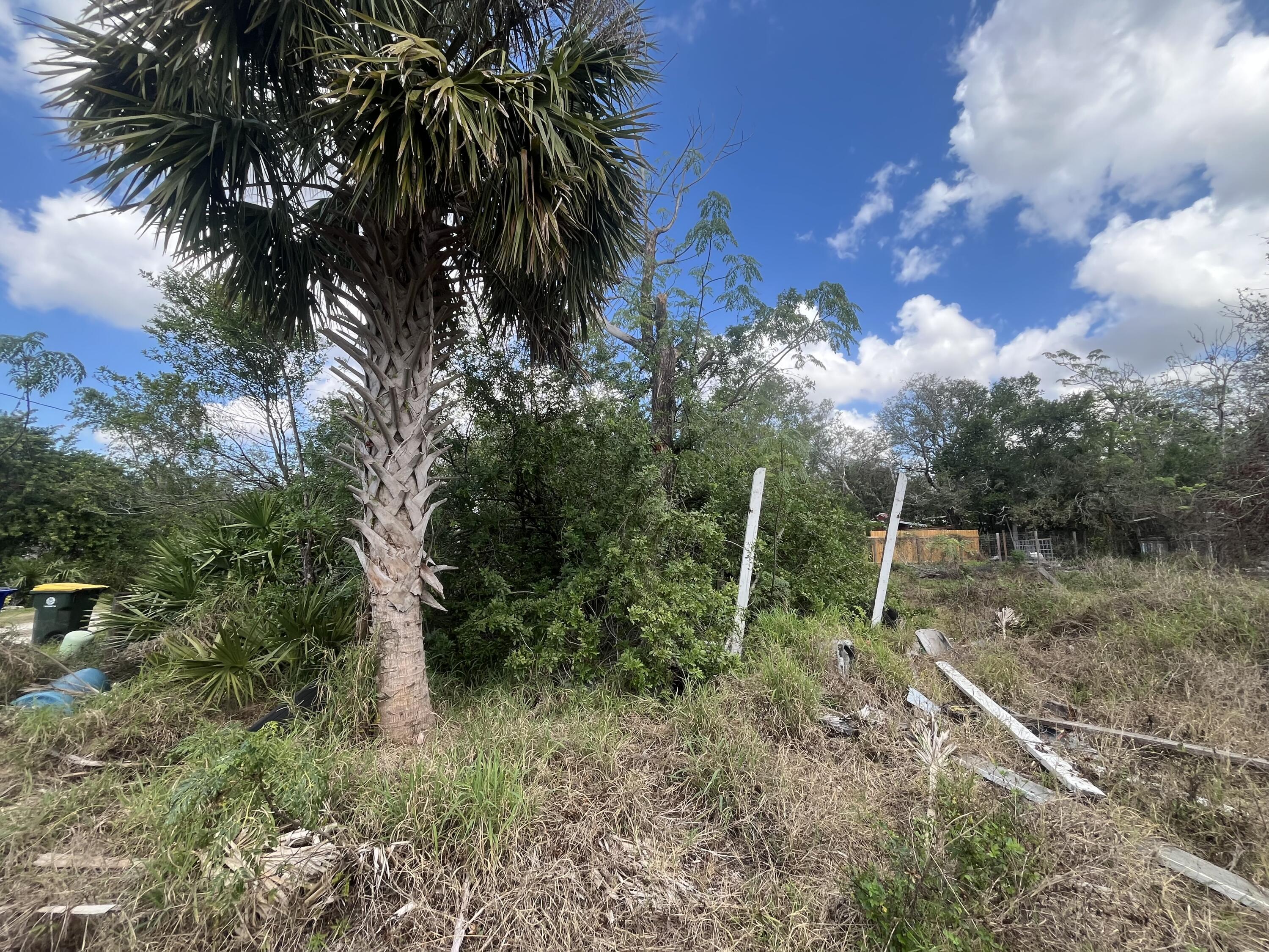 3608 Smithtown Road Sebring, FL 33876 - Photo 2 of 5 a view of a yard