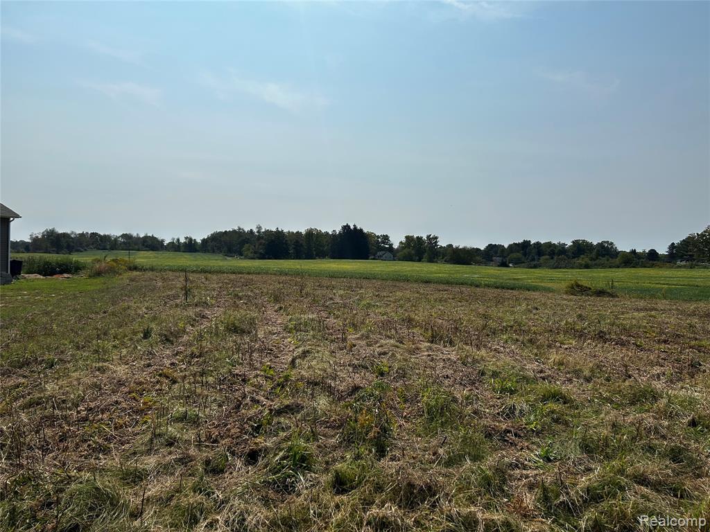 Parcel N North Hacker Road Howell, MI 48843 - Photo 4 of 13