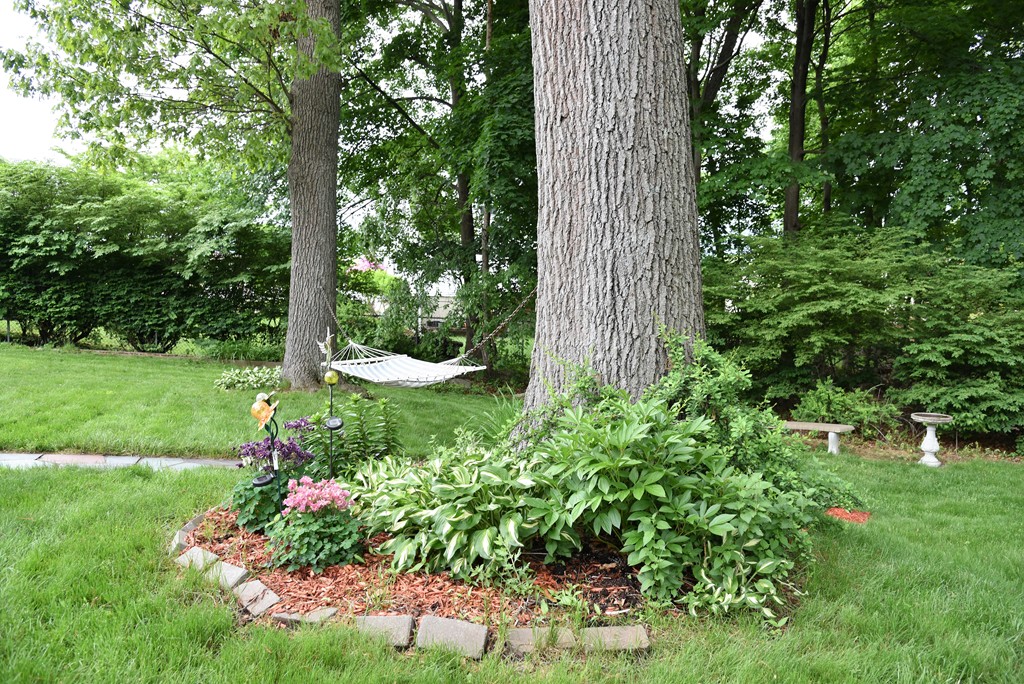 6 Cushing Road Norwood, MA 02062 - Photo 28 of 29 Gallery Image 28
