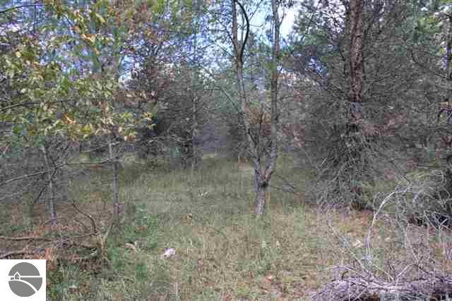 4773 North 5 1/2 Road Mesick, MI 49668 - Photo 9 of 25 1739206-8.JPG