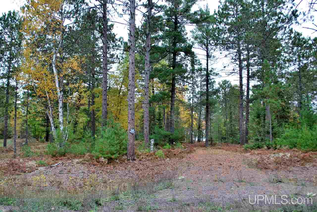 Tbd Little Rice Lake Rd (lot 18), Unit 18 Lake Linden, MI 49945 - Photo 3 of 34