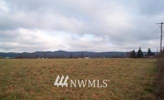 2413 Pe Ell McDonald Road Curtis, WA 98538 - Photo 1 of 1 Gallery Image 1