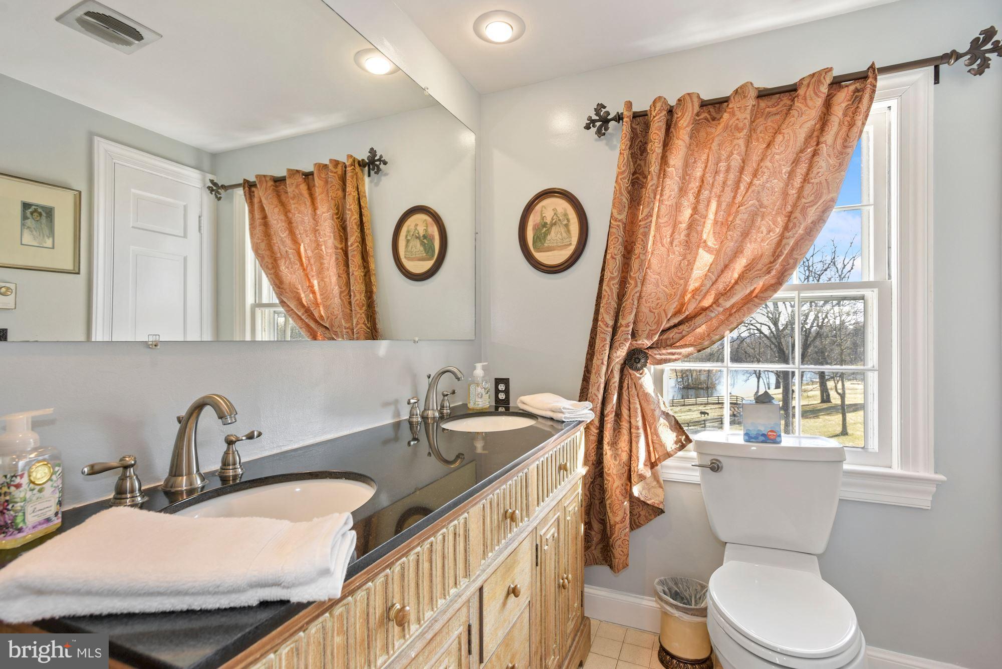 35487 Snake Hill Road Middleburg, VA 20117 - Photo 22 of 59