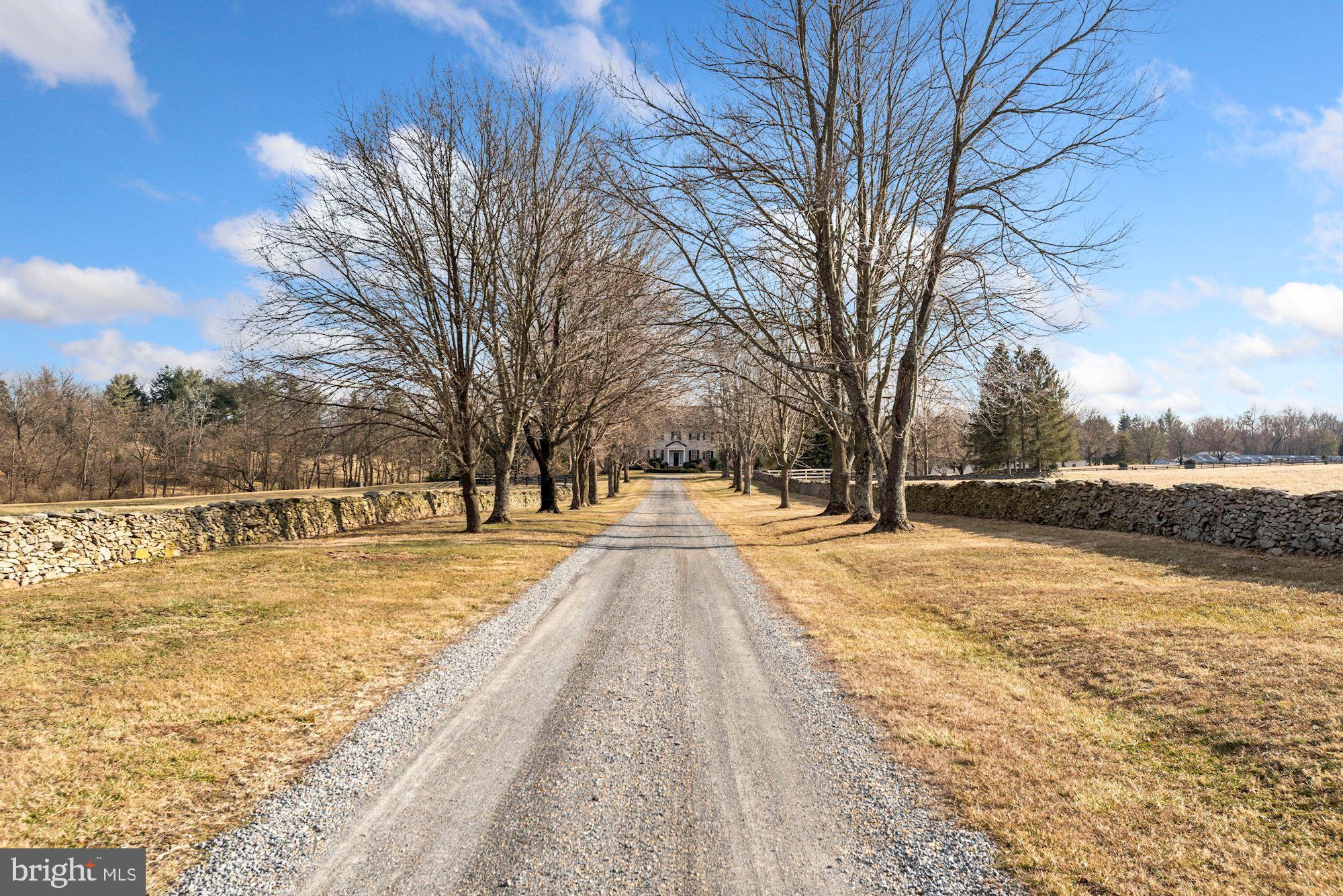 35487 Snake Hill Road Middleburg, VA 20117 - Photo 4 of 59