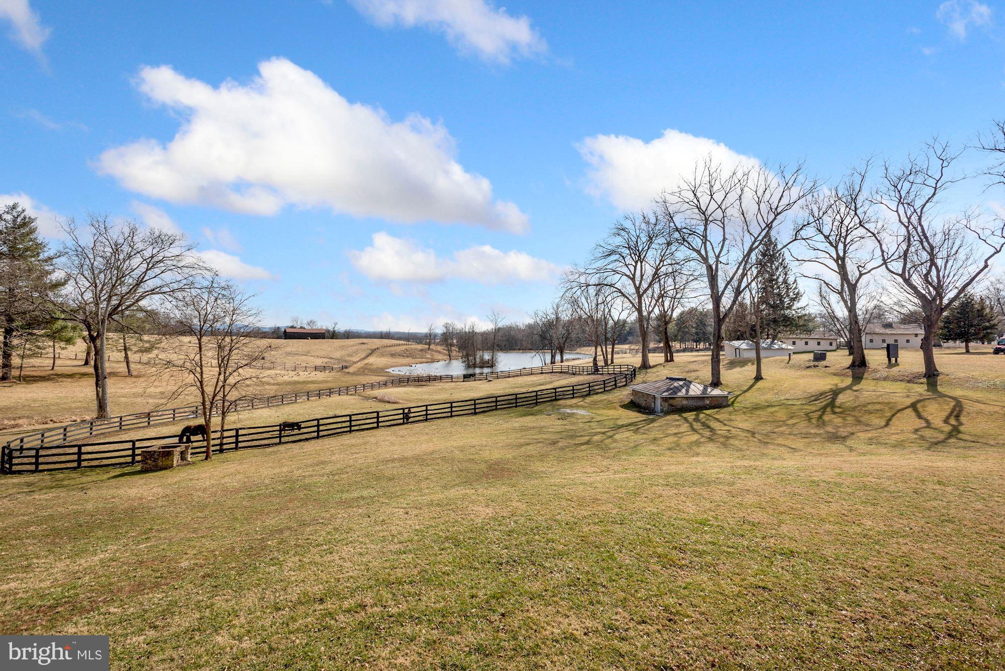 35487 Snake Hill Road Middleburg, VA 20117 - Photo 34 of 59