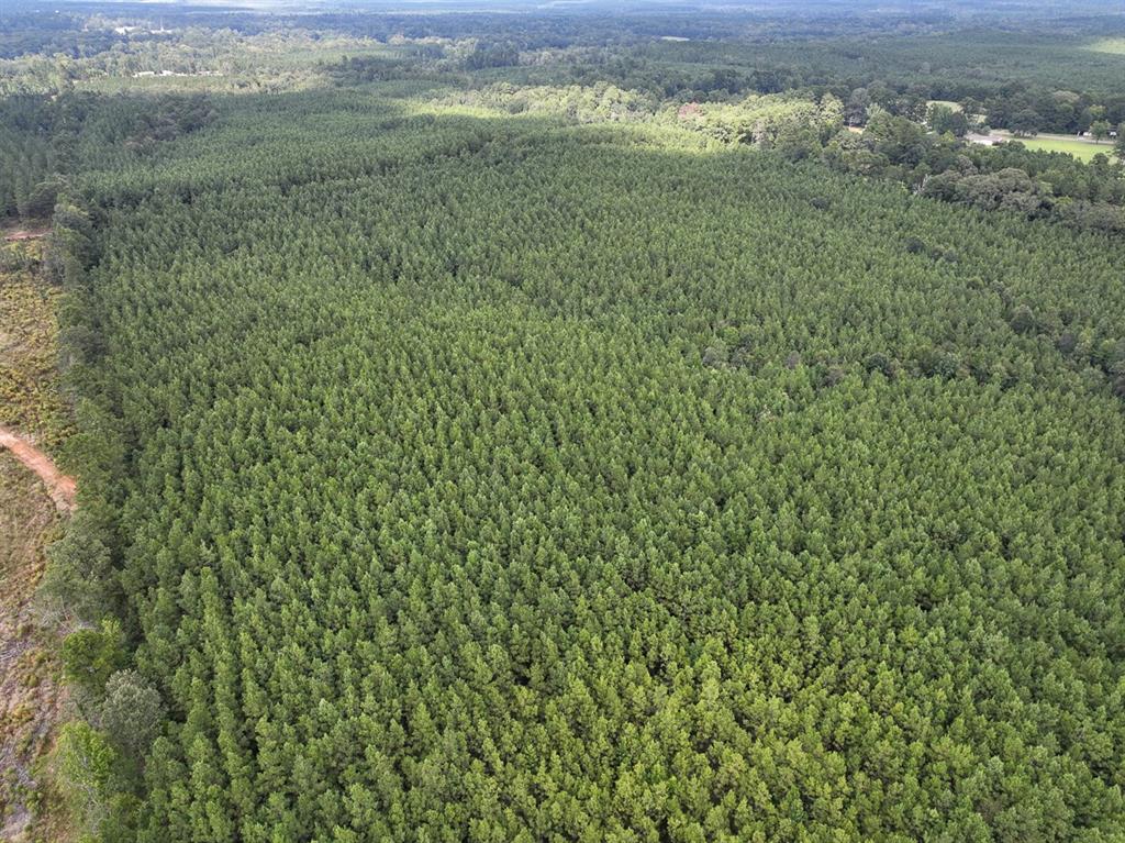 T-1 Provencal Vowell Mills Road Provencal, LA 71468 - Photo 11 of 17 Aerial view of a heavily wooded area