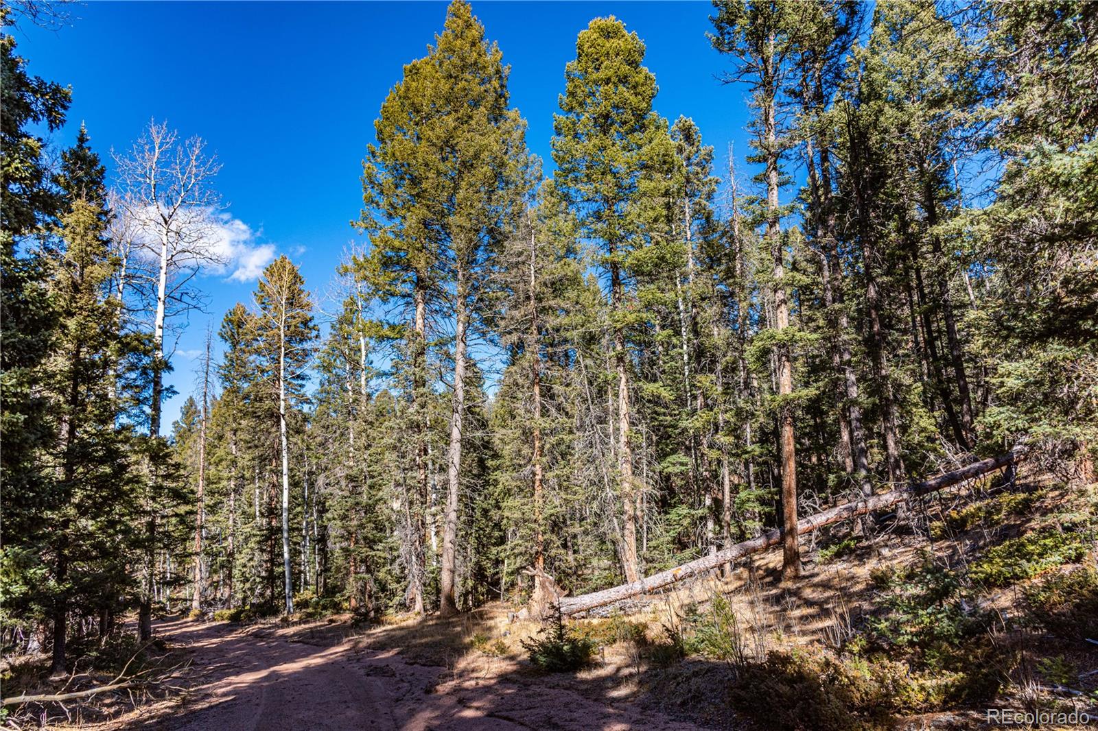 0 Arrowhead Road Florissant, CO 80816 - Photo 10 of 50 Gallery Image 10