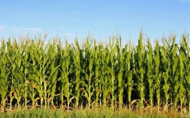 $82,944 | 700 Interstate 69, Van Buren, IN 46991