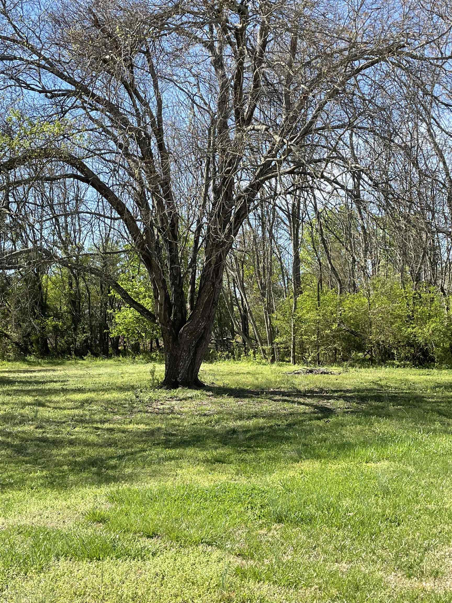 420 Apple Valley Road Duncan, SC 29334 - Photo 2 of 12