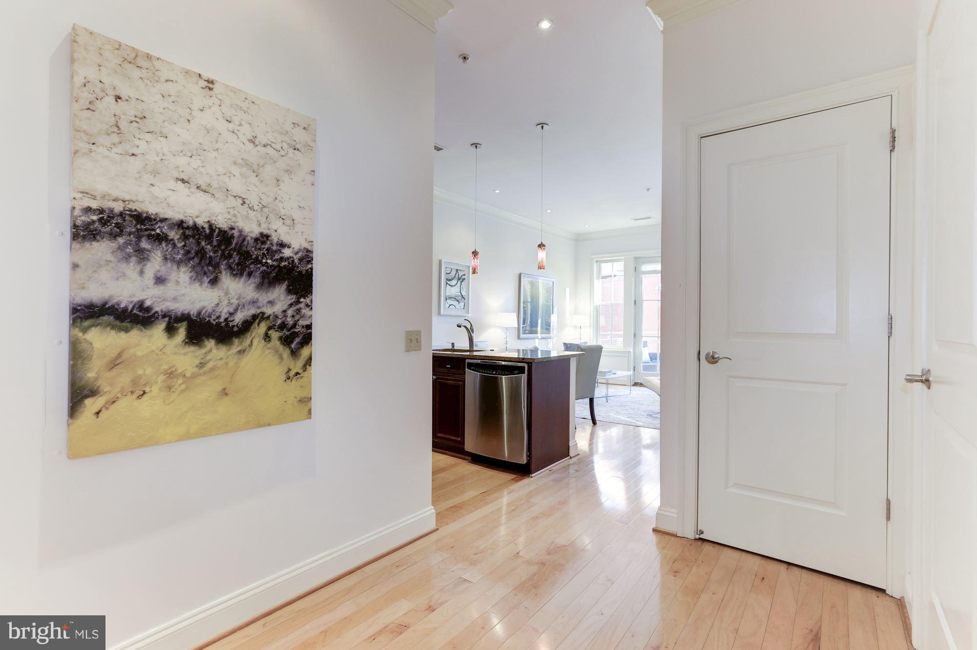 1210 R Street Northwest, Unit 215 Washington, DC 20009 - Photo 3 of 20 Inviting Entryway
