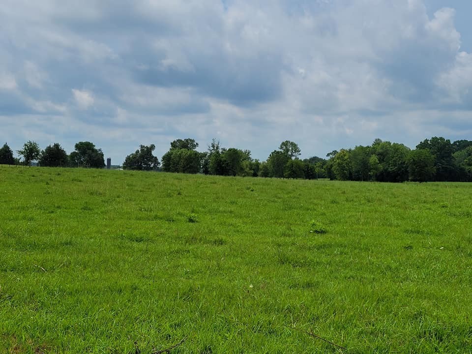 4 Beasley Road Chapel Hill, TN 37034 - Photo 2 of 2 Gallery Image 2